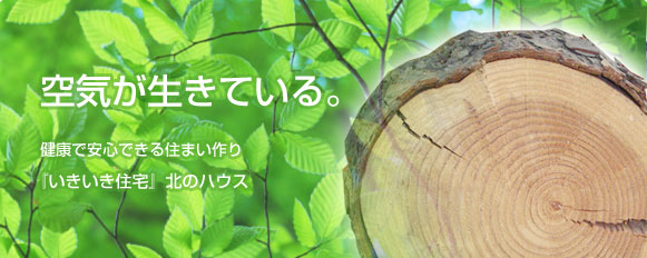 当社の裏で、共に生きてきたカラマツです。住まいとお客様の『健康と絆』を第一に北海道の住まいを提供致します。～株式会社北のハウス